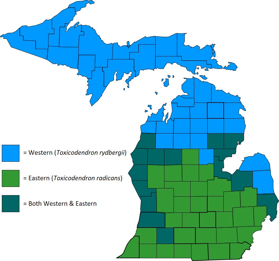 Figure 1 Poison Ivy Distribution